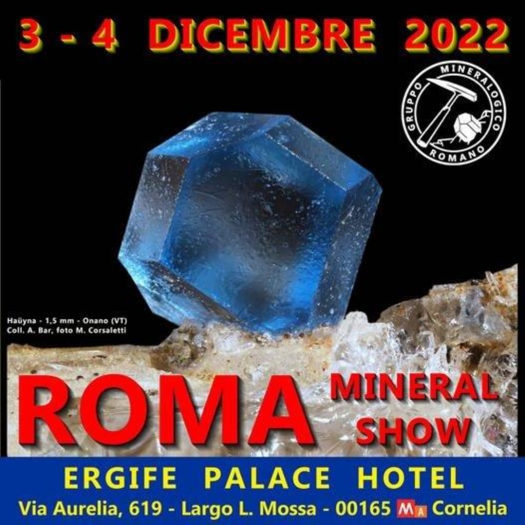 MIRABILIA Mostra di conchiglie da tutto il mondo - Prato (FI)